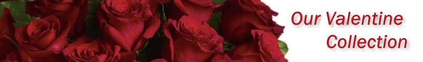 Valentine's Day flowers and Gifts for the holidays delivered in Omaha