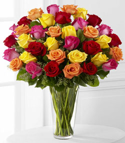 Exquisite Bright Spark Roses (36)