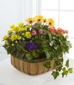 Gentle Blossoms Basket