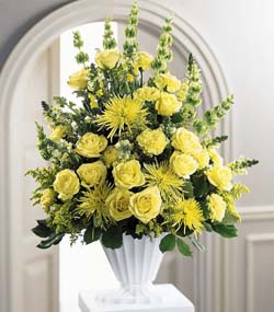 Glowing Ray Arrangement