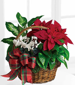Holiday Homecoming Basket