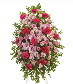 Pink Tribute Spray