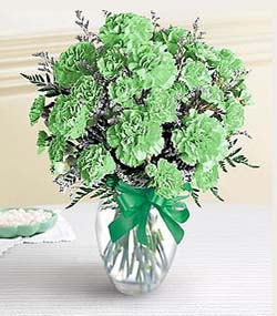 St. Patrick's Day Carnation Bouquet