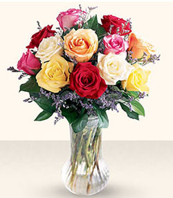 One Dozen Mixed Color Roses