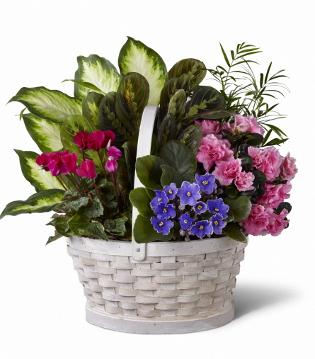 janousek funeral home