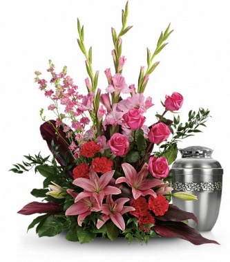 click to see more